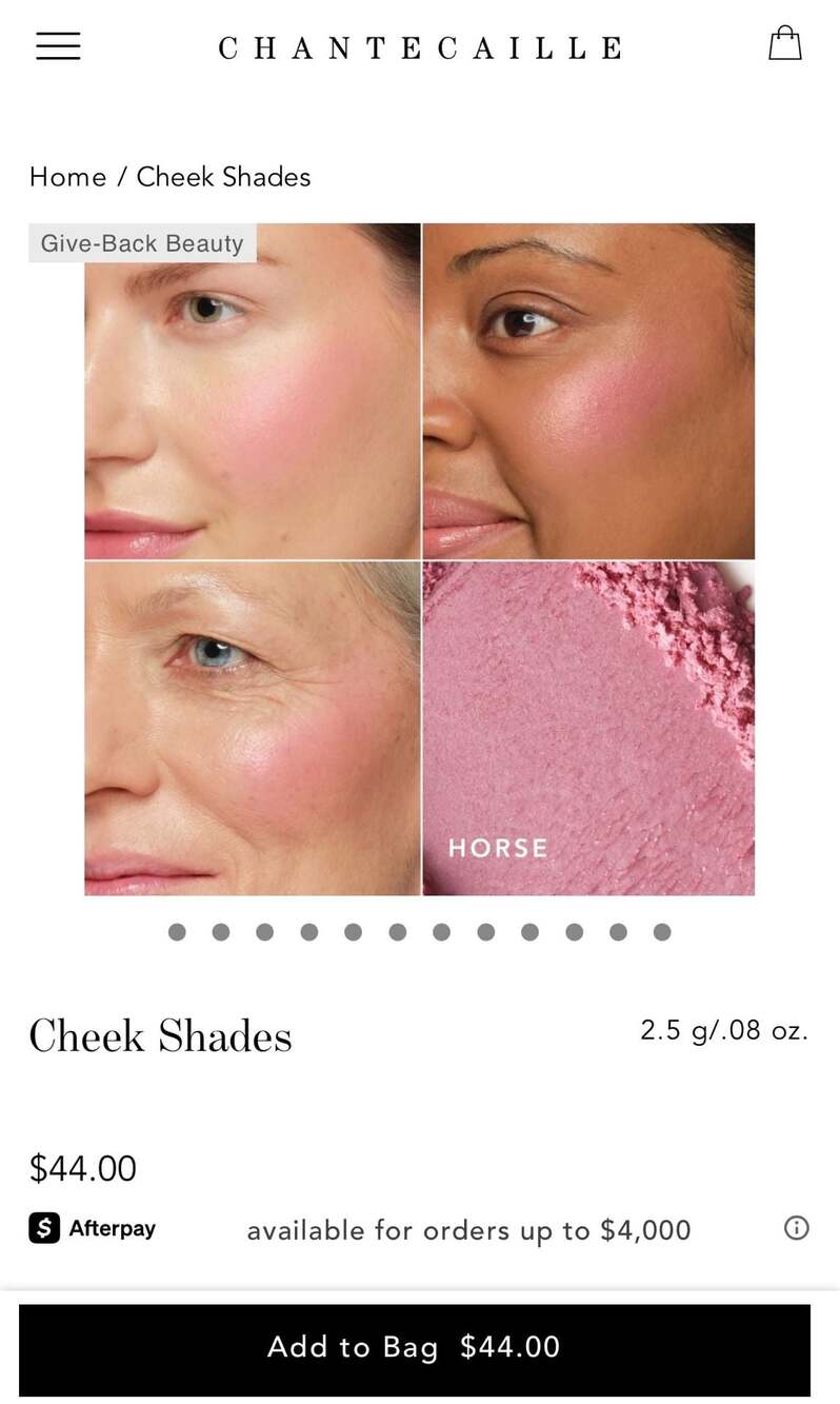 Chantecaille Philanthropy Cheek Shade in Joy (Wild Horse). NIB! - Picture 9 of 12